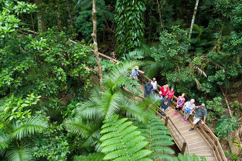 3 Day Great Barrier Reef, Daintree Rainforest And Outback Chillagoe Tour - Hervey Bay Accommodation 2