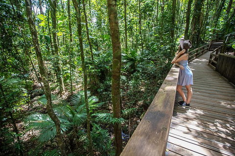 3 Day Great Barrier Reef, Daintree Rainforest And Outback Chillagoe Tour - Hervey Bay Accommodation 3