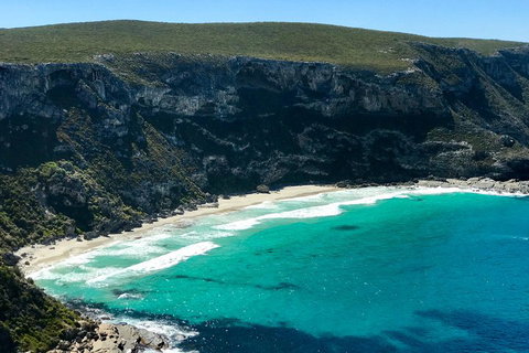 Kangaroo Island Scenic Trail Tour - Hervey Bay Accommodation 4