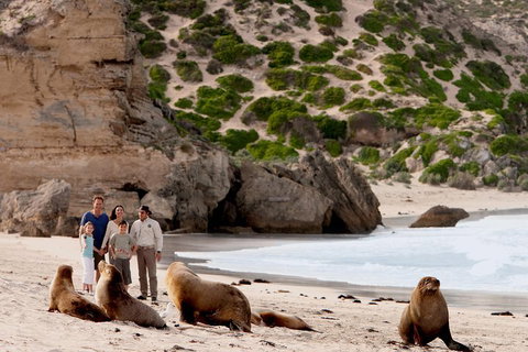 Kangaroo Island Scenic Trail Tour - Hervey Bay Accommodation 5