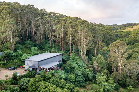 Full-Day Tour To Byron Bay Best Food And Drink Spots - Hervey Bay Accommodation 3