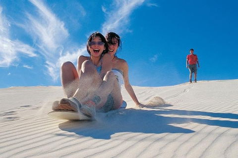 Pinnacles Desert, Koalas And Sandboarding 4WD Day Tour From Perth - Tourism Hervey Bay 3