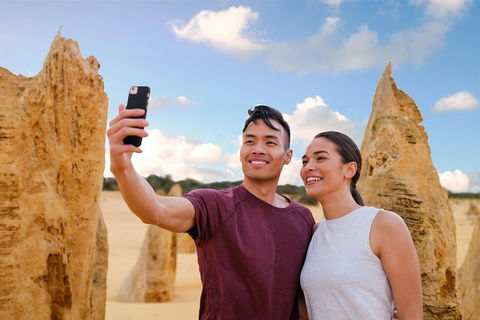 Pinnacles Desert, Koalas And Sandboarding 4WD Day Tour From Perth - Tourism Hervey Bay 4