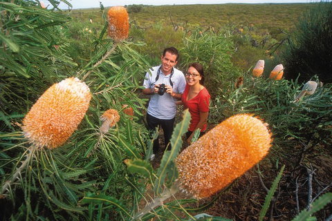 Best Of Perth Wildflower Season Day Trip - Hervey Bay Accommodation 0
