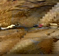 2-Day Wave Rock York Wildflowers  Aboriginal Experience - Hervey Bay Accommodation