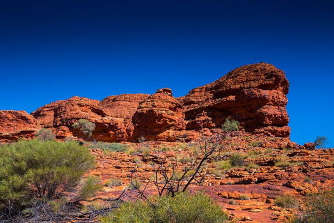 7-Day Guided Tour Of Alice Springs With Accommodation Included - Tourism Hervey Bay 4