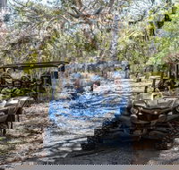 Small-Group Buggy Tour at Little Sahara with Guide - Tourism Hervey Bay