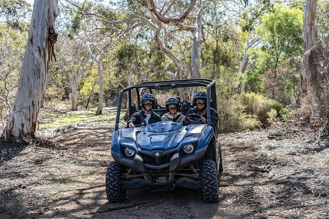 Small-Group Buggy Tour At Little Sahara With Guide - Hervey Bay Accommodation 0