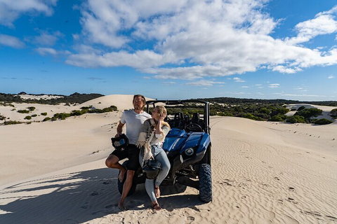 Small-Group Buggy Tour At Little Sahara With Guide - Hervey Bay Accommodation 2