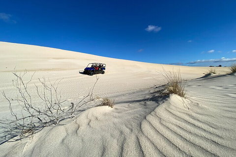 Small-Group Buggy Tour At Little Sahara With Guide - Hervey Bay Accommodation 3
