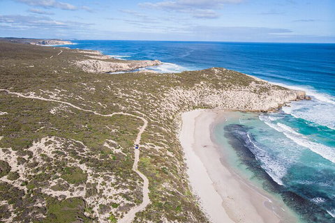 Small-Group Buggy Tour At Little Sahara With Guide - Hervey Bay Accommodation 4