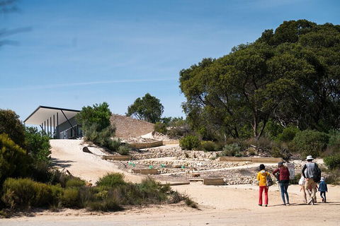 2-Hour Koala Walking Tour In Kangaroo Island - Hervey Bay Accommodation 3