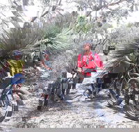 2 Hour Bike Tour in Kangaroo Island - Hervey Bay Accommodation