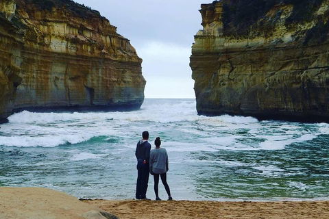 Great Ocean Road Small-Group Ecotour From Melbourne - Tourism Hervey Bay 1