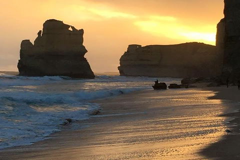Great Ocean Road Small-Group Ecotour From Melbourne - Tourism Hervey Bay 5