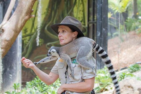Currumbin Wildlife Sanctuary General Entry Ticket - Hervey Bay Accommodation 1