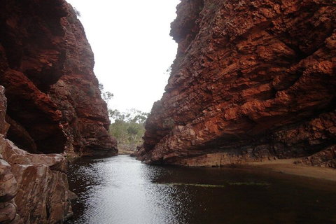 West MacDonnell Ranges Half - Day Tour - Hervey Bay Accommodation 4