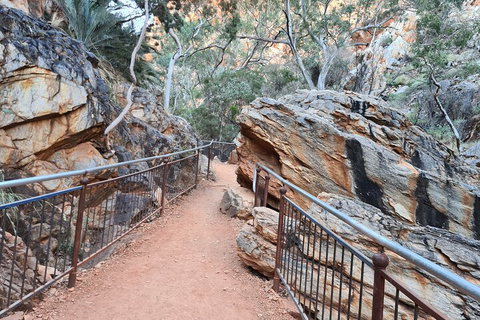 West MacDonnell Ranges Half-Day Private Charter Guided Tour - Hervey Bay Accommodation 0