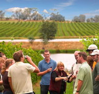 Yarra Valley Wine and Winery Tour from Melbourne - Hervey Bay Accommodation