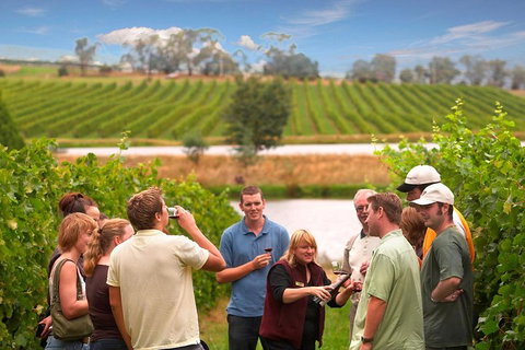 Yarra Valley Wine And Winery Tour From Melbourne - Hervey Bay Accommodation 0