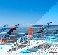 Calypso Outer Great Barrier Reef Cruise from Port Douglas - Hervey Bay Accommodation