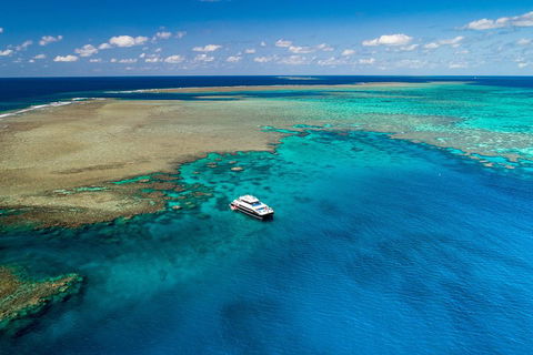 Calypso Outer Great Barrier Reef Cruise From Port Douglas - Tourism Hervey Bay 1