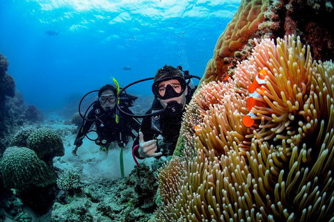 Full Day Reef Cruise Including 10 Minute Heli Scenic Flight: Get High Package - Hervey Bay Accommodation 5