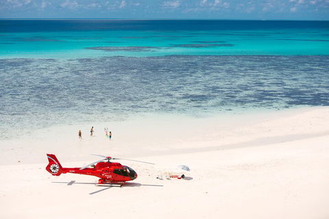 Private Helicopter Tour: Reef Island Snorkeling And Gourmet Picnic Lunch - Tourism Hervey Bay 2