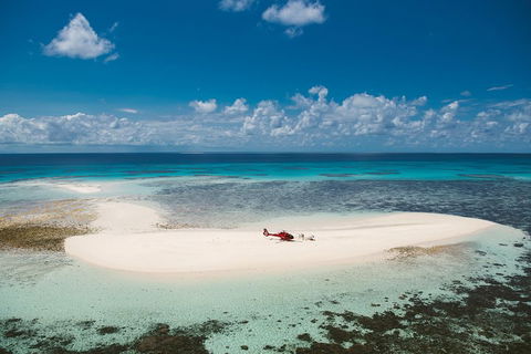 Private Helicopter Tour: Reef Island Snorkeling And Gourmet Picnic Lunch - Tourism Hervey Bay 4