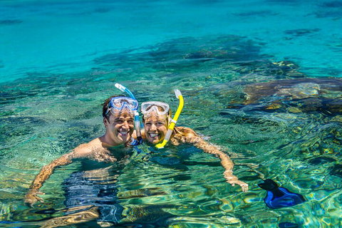Fly To Green Island - Cruise Return - Hervey Bay Accommodation 2
