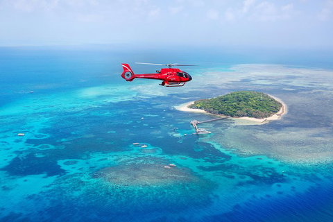 Fly To Green Island - Cruise Return - Hervey Bay Accommodation 3