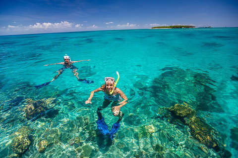 Fly To Green Island - Cruise Return - Hervey Bay Accommodation 4