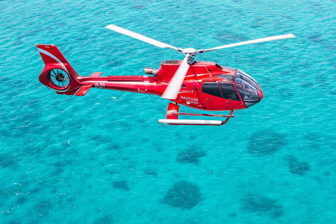 Helicopter And Cruise Packages From Port Douglas - Hervey Bay Accommodation 5