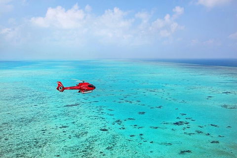 Great Barrier Reef 30-Minute Scenic Helicopter Tour From Cairns - Tourism Hervey Bay 2
