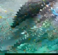 2-Day Moreton Island 4WD Camping Tour from Brisbane - Hervey Bay Accommodation