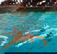 Moreton Island Snorkel and Sandboarding 4WD Day Trip from Brisbane - Hervey Bay Accommodation