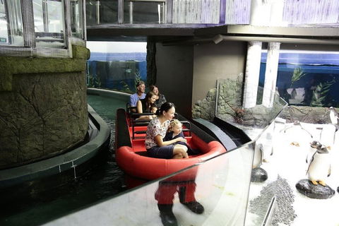 Sydney Attractions Pass: SEA LIFE Aquarium, Sydney Tower Eye, WILD LIFE Zoo And Madame Tussauds - Tourism Hervey Bay 0