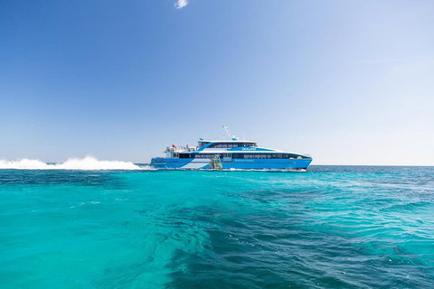 Fremantle To Rottnest Island Roundtrip Ferry Ticket - Hervey Bay Accommodation 0