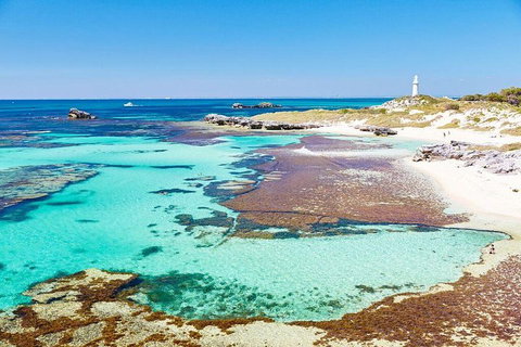 Fremantle To Rottnest Island Roundtrip Ferry Ticket - Hervey Bay Accommodation 2
