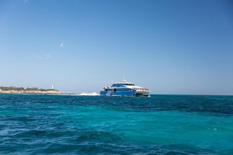 Fremantle To Rottnest Island Roundtrip Ferry Ticket - Hervey Bay Accommodation 5