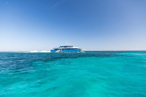 Rottnest Island Bike & Ferry Package From Fremantle - Hervey Bay Accommodation 0