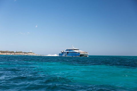 Rottnest Island Bike & Ferry Package From Perth - Hervey Bay Accommodation 2
