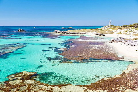 Perth To Rottnest Island Roundtrip Ferry Ticket - Hervey Bay Accommodation 2