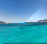 Rottnest Island Bayseeker Day Trip from Perth - Tourism Hervey Bay