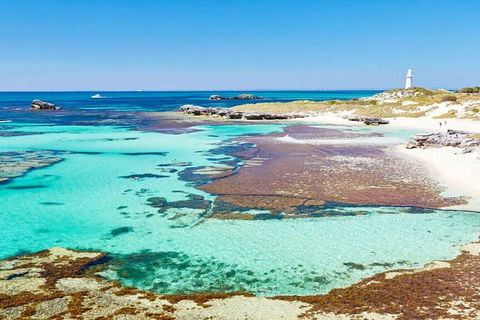 Rottnest Island Bayseeker Day Trip From Perth - Hervey Bay Accommodation 4