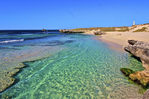 Rottnest Island Bayseeker Day Trip From Perth - Hervey Bay Accommodation 5