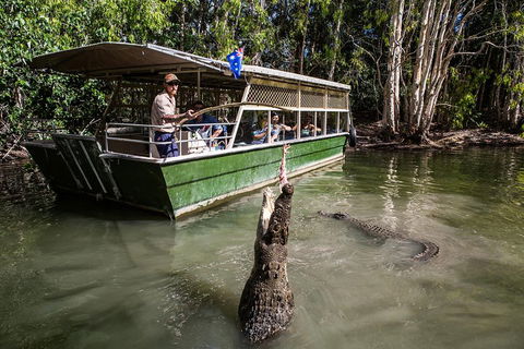 Hartley's Crocodile Adventures Day Trip From Cairns - Hervey Bay Accommodation 2