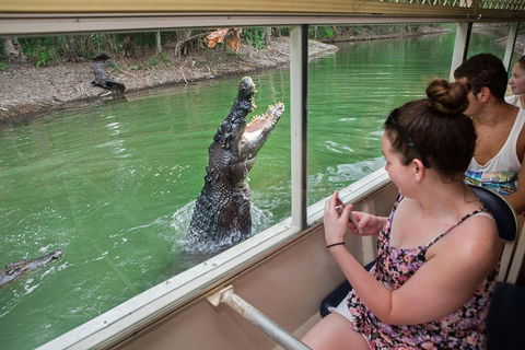 Hartley's Crocodile Adventures Day Trip From Cairns - Hervey Bay Accommodation 3
