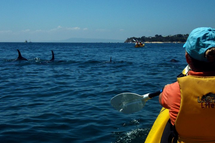  Tourism Hervey Bay