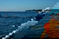 Book Viator Accommodation Vacations Hervey Bay Accommodation Hervey Bay Accommodation